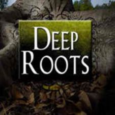 The Power of Deep Roots ((MP3 Audio Download 2 Part Teaching) by Glenn Bleakney